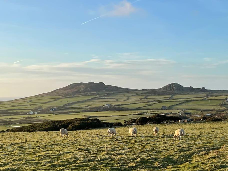 The Hut@Trefechan Wen - Coastal Coziness! Goodwick ภายนอก รูปภาพ