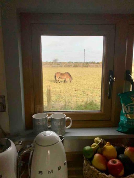 The Hut@Trefechan Wen - Coastal Coziness! Goodwick ภายนอก รูปภาพ